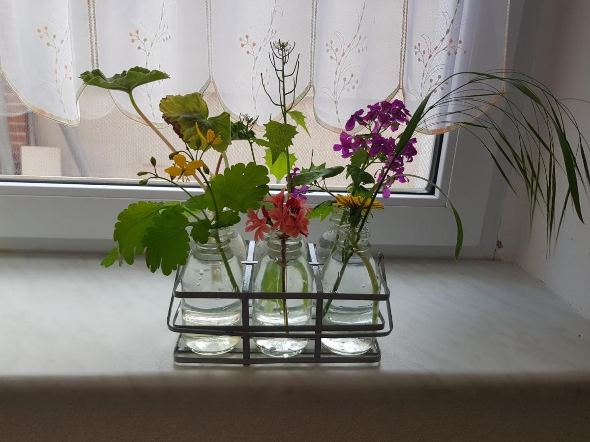 Ferienwohnung Burgenblick Thale Bagian luar foto