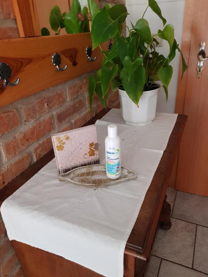 Ferienwohnung Burgenblick Thale Bagian luar foto